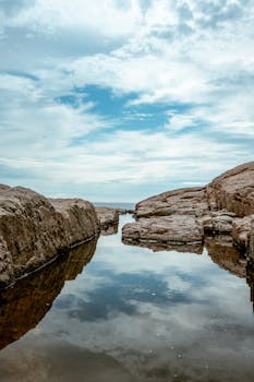  蛋黄金黄的秘密曝光：黄天鹅风波引发行业深思，谁能划清天然界限。 健康养生