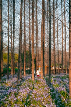  碧桂园悄然规范人才回流；从交付收官迈向经营修复。 房产家居