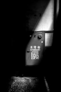  多地消防救援机构启用新印章；改革进程加速推进；双重管理体制进一步完善。 新闻