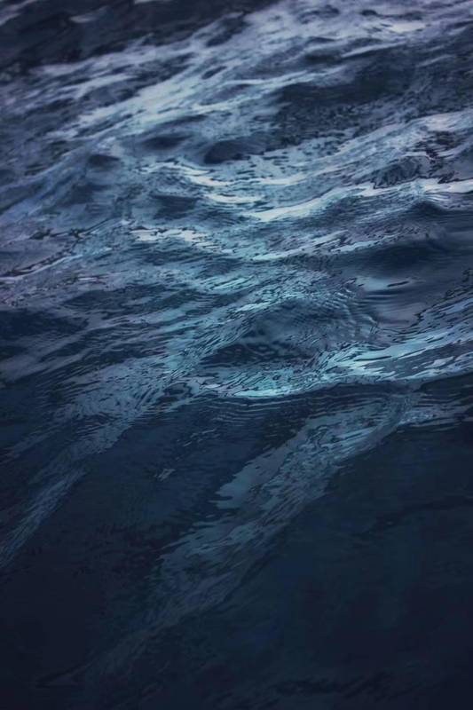  监管常态化下的合规路径：虚拟资产参与者的风险规避指南。 IT技术