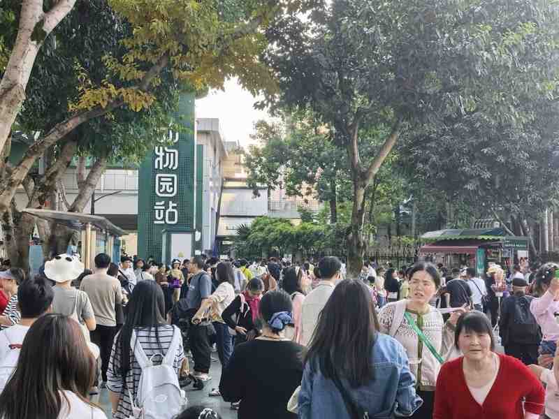 当2.96亿人次同时出发:2026清明出行拥堵技术复盘与科学应对指南 文化旅游