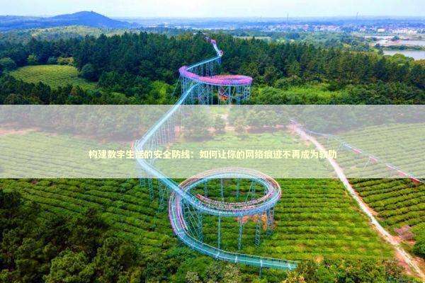 构建数字生活的安全防线：如何让你的网络痕迹不再成为软肋