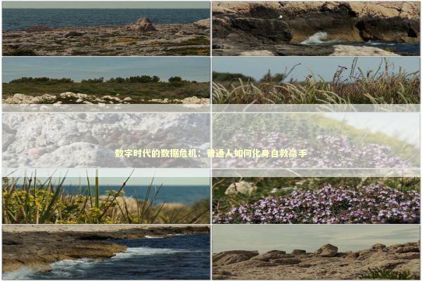 数字时代的数据危机：普通人如何化身自救高手