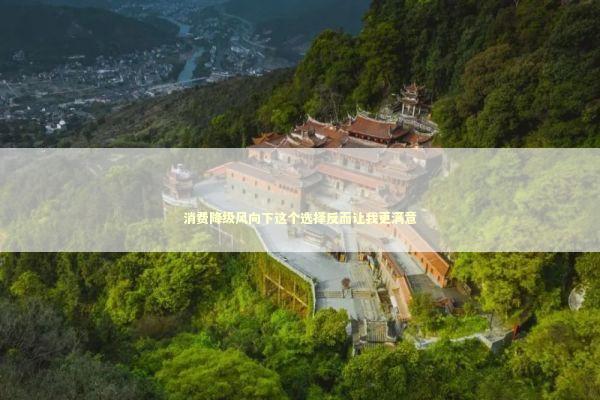 消费降级风向下这个选择反而让我更满意 时尚用品