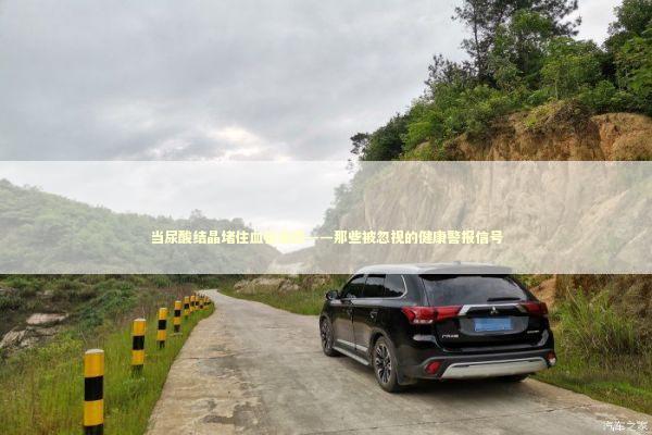 当尿酸结晶堵住血管通路——那些被忽视的健康警报信号