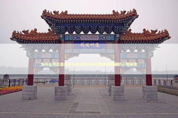 为什么你总是忍不住关注他人的动态背后隐藏的心理秘密