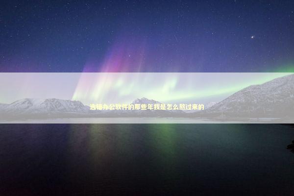 选错办公软件的那些年我是怎么熬过来的