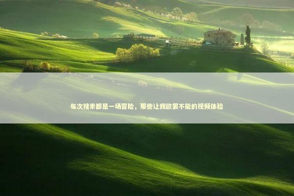 每次搜索都是一场冒险，那些让我欲罢不能的视频体验 IT技术